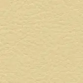 Pale yellow leather texture with a granular, pebbled surface and fine creases; col. 235, studio lighting, muted warm tones.